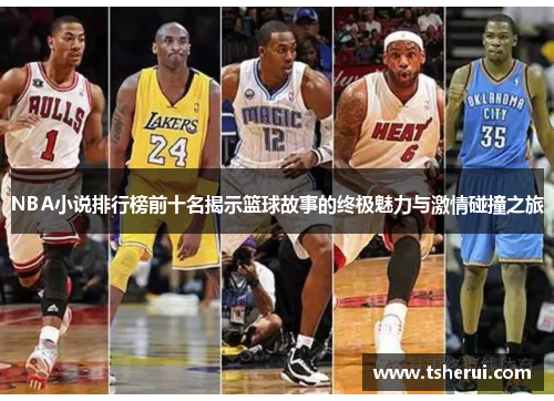 NBA小说排行榜前十名揭示篮球故事的终极魅力与激情碰撞之旅